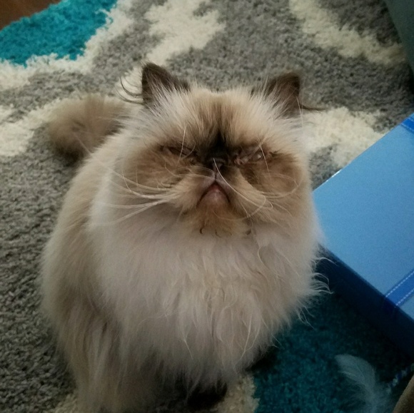 Meet your Posher, Brian - Picture 1 of 1